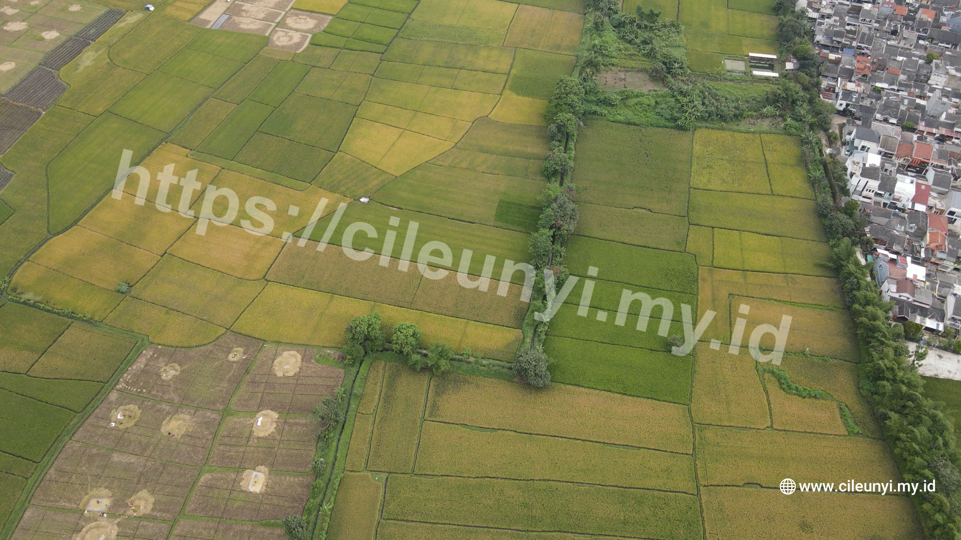 Foto galeri lahan Cinunuk 3
